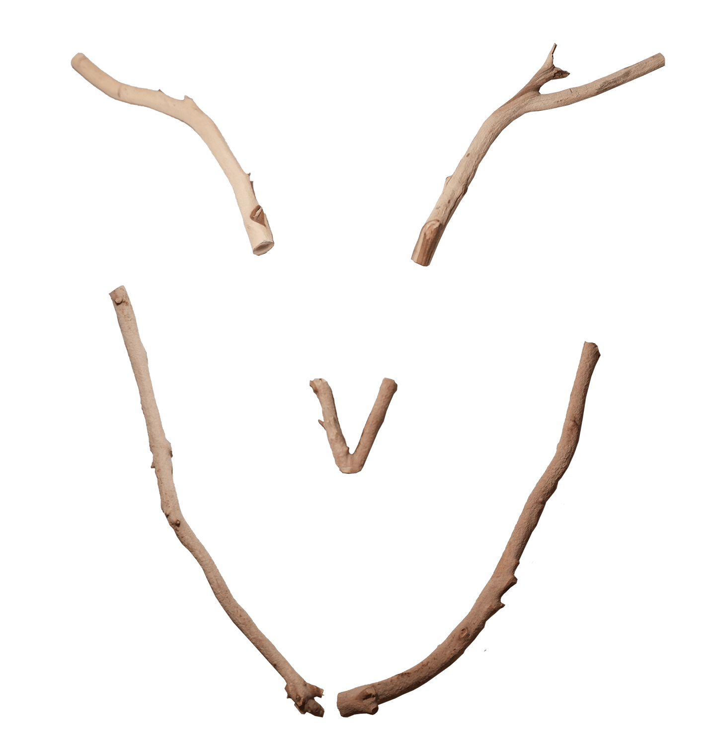 foto secondo profilo